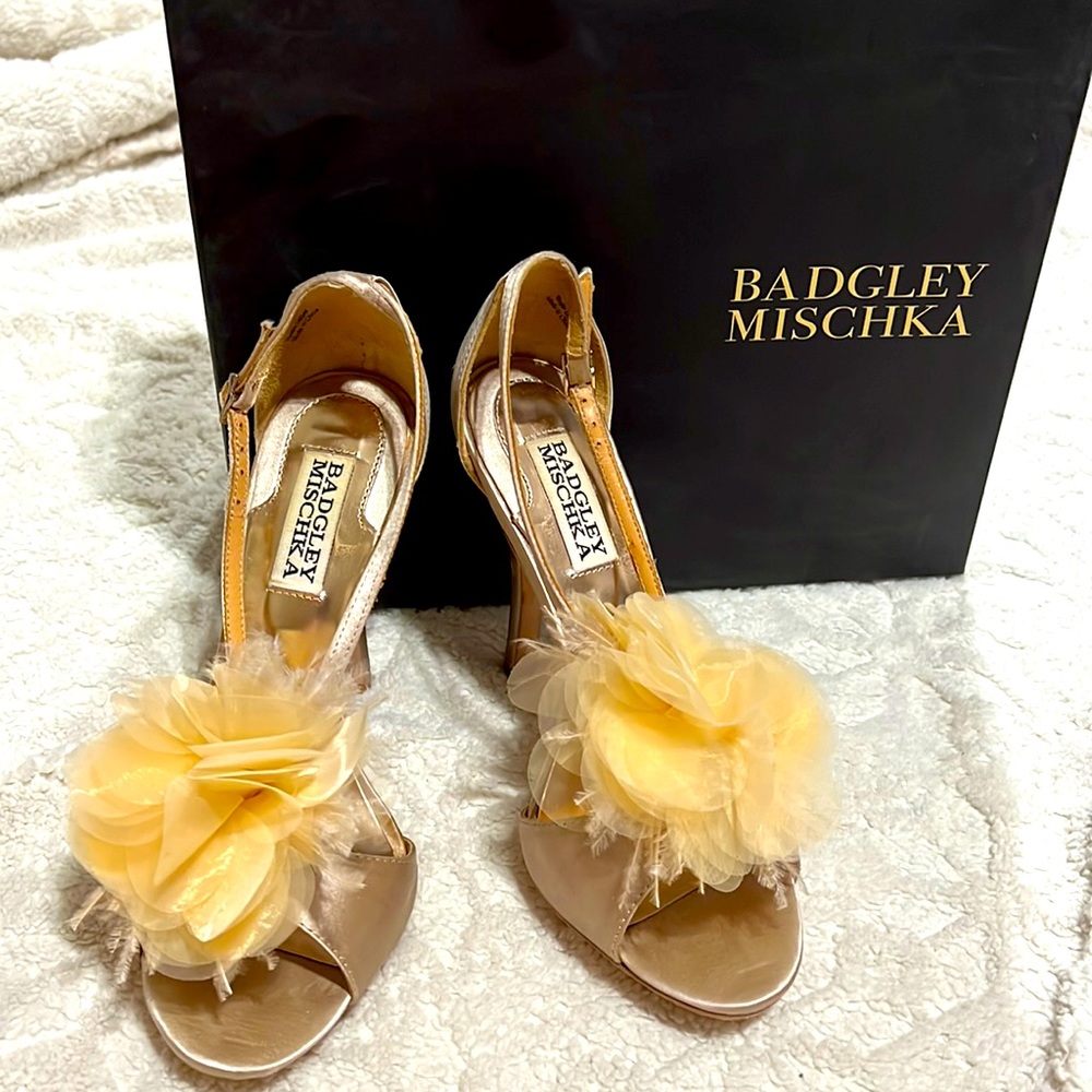 Badgley Mischka Pumps size 6 1/2 in good condition
